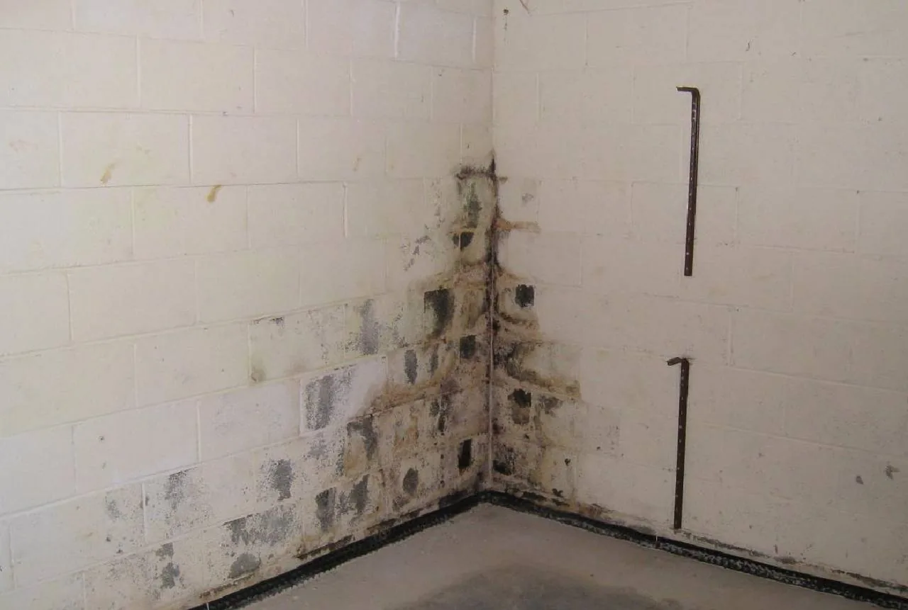 Moisture staining and damage in the corner of a block basement wall